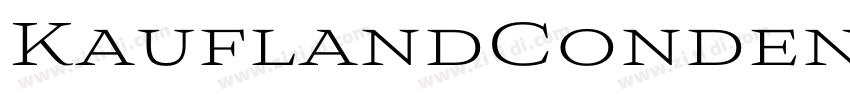 KauflandCondensed Re字体转换